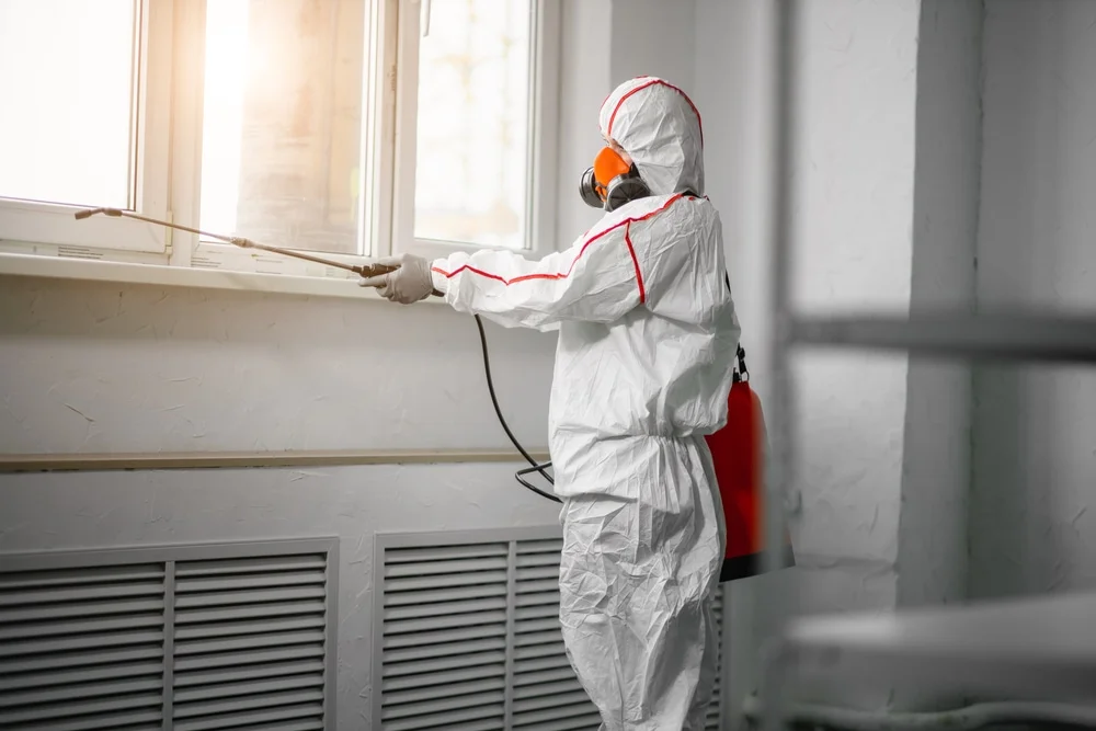 Professional mold remediation services in New Lexington, OH